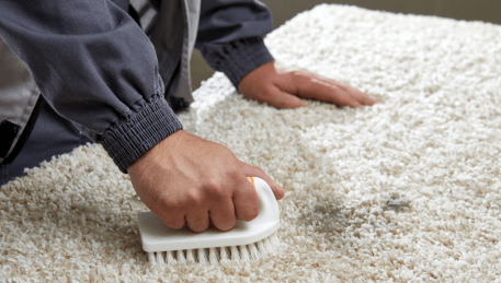 Professional Rug Cleaning Westmeadows